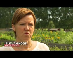 Online gokken Online gokken