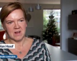 Het Journaal 28122018 Medicinale cannabis Het Journaal 28122018 Medicinale cannabis